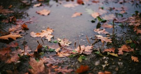 Синоптики оновили прогноз погоди на останній день осені