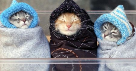 Як зберегти тепло в квартирі взимку: зробіть лише одну “хитрість” з вікнами