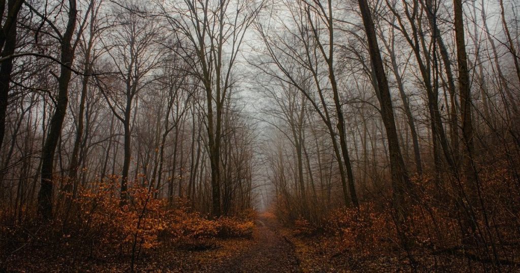 Де потеплішає до +18: прогноз погоди на тиждень, 3-9 листопада