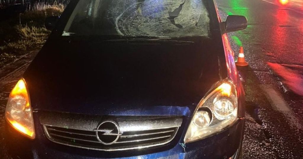 Жінку двічі збили на дорозі під Львовом: подробиці від поліції