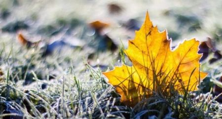 Теплі дні добігають кінця: синоптик Діденко дала невтішний прогноз