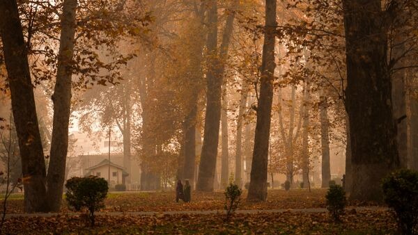 Осіння апатія: як повернути собі мотивацію