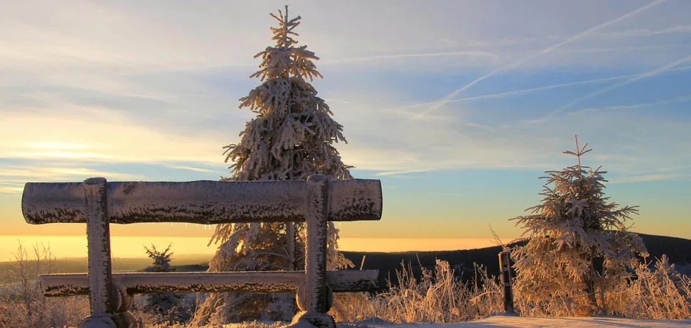 Люті морози чи аномальне тепло? Синоптикиня розповіла, якою буде зима в Україні