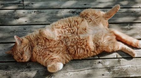 Антициклон Vianelde вдарить по Україні: синоптик Діденко попередила водіїв