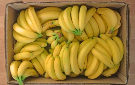 В Україні можуть почати вирощувати банани, а от з цибулею є проблеми