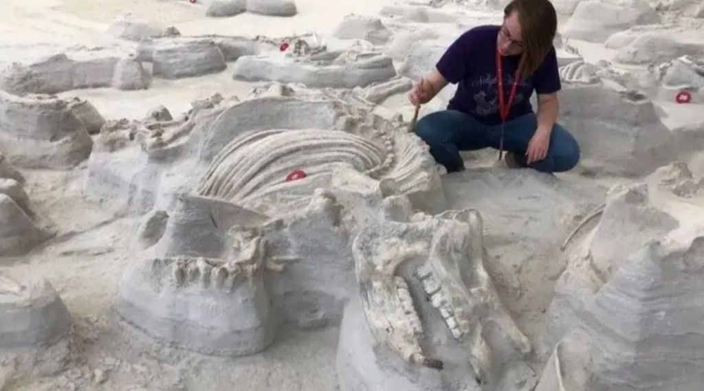 Пережили виверження Єллоустоуна: вчені знайшли сліди страшних доісторичних собак