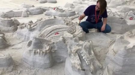 Пережили виверження Єллоустоуна: вчені знайшли сліди страшних доісторичних собак