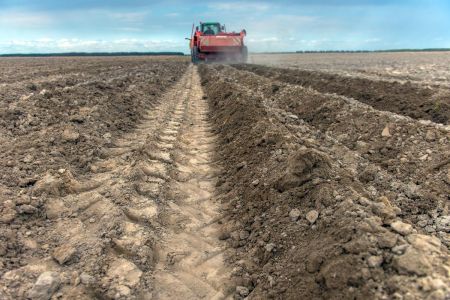 Ціни на землю в Україні переписали: скільки зараз коштує гектар