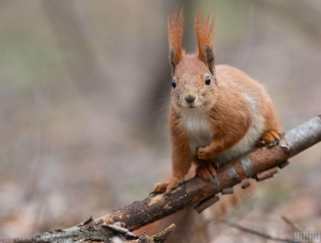 В Україну знову йде потепління: синоптикиня розповіла, наскільки підвищиться температура