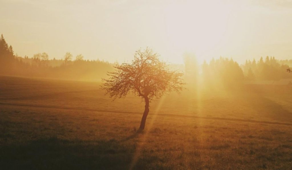 Людство увійшло в коридор найспекотніших років в історії, – вчені