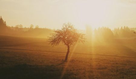 Людство увійшло в коридор найспекотніших років в історії, – вчені