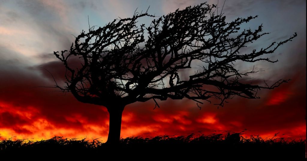 Погода на сьогодні, 8 грудня: синоптики попередили про штормовий вітер