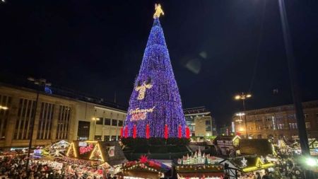 В Німеччині встановлено найвищу у світі ялинку: як вона виглядає