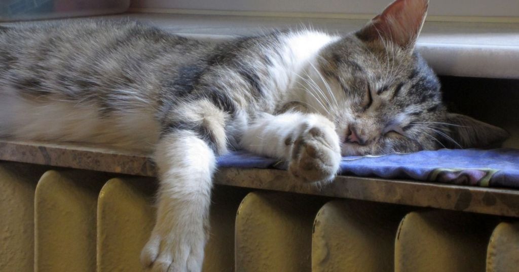 Як зменшити витрати на опалення узимку: дієві правила для дому