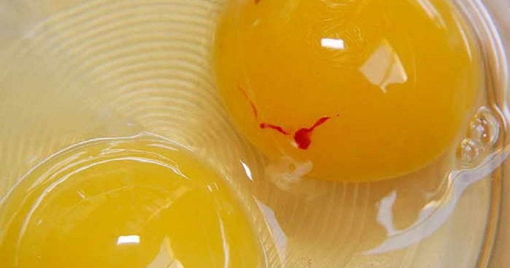 Чи можна їсти яйця з червоною плямою на жовтку: відповідь експертів неодмінно вас здивує