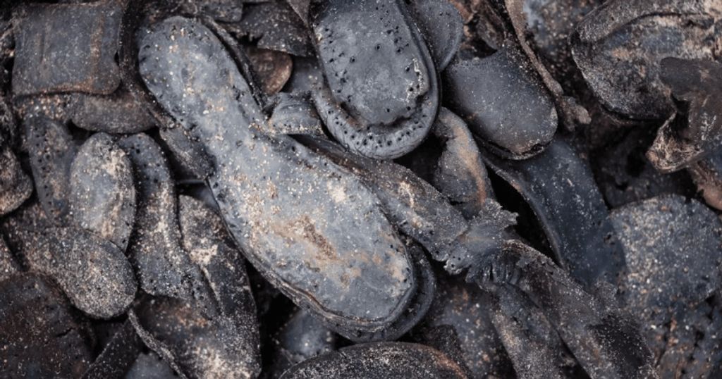 На британське узбережжя вимило сотні пар старовинного взуття: що сталося (фото)