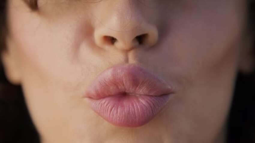 Вчені визначили дату першого поцілунку: він не був людським