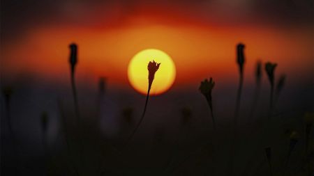 Календар “сонячних ударів” на грудень: коли потужні магнітні бурі вдарять по здоров’ю українців