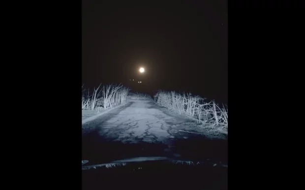 Вчені спрогнозували, яким буде перший контакт людства з інопланетянами