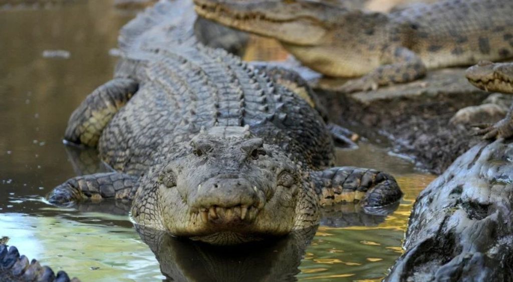 Астрологічний прогноз на 13 грудня