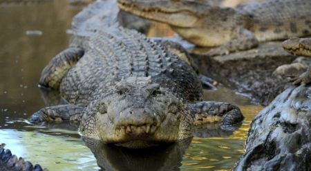 Астрологічний прогноз на 13 грудня