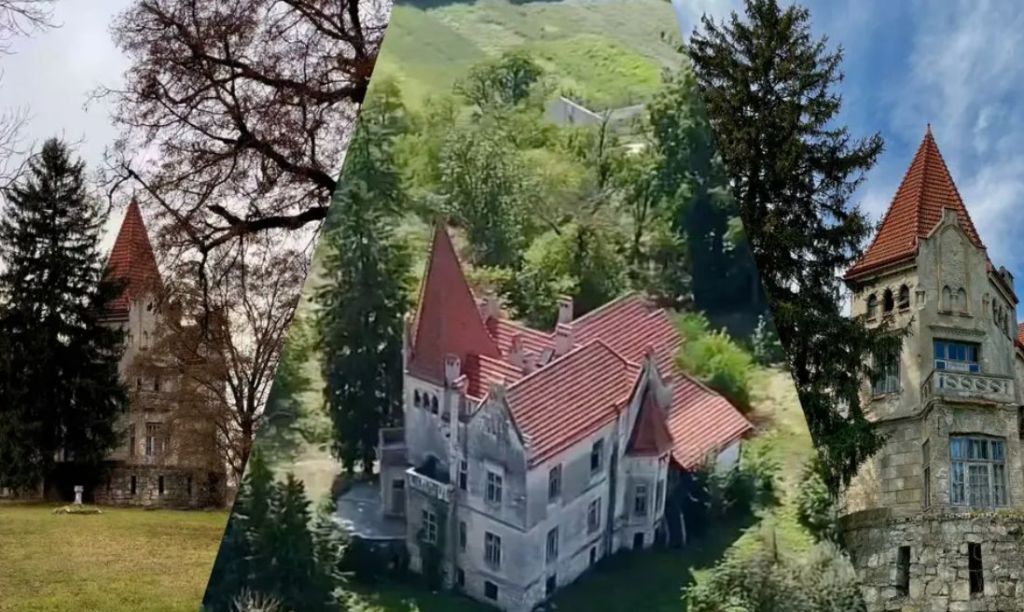 Цей розкішний закинутий замок називають найромантичнішими руїнами Тернопільщини