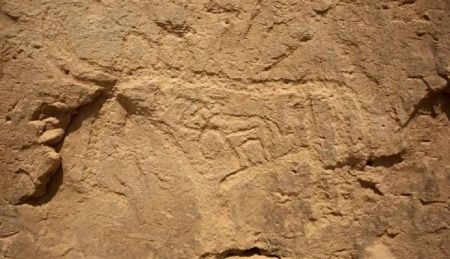 В пустелі Єгипту знайшли величезні ієрогліфи: вчені пов’язали їх з космосом