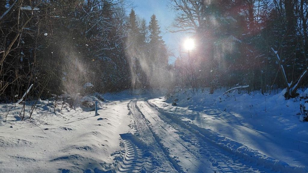 Морози до -22° і сніг: сувора зима не покине Україну найближчими днями
