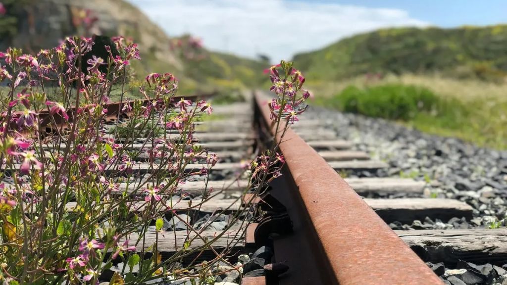 9 країн світу, що взагалі не мають залізниці: одна з них у Європі