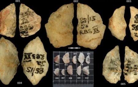 Археологи знайшли найдавнішу у світі отруйну зброю віком 60 тисяч років