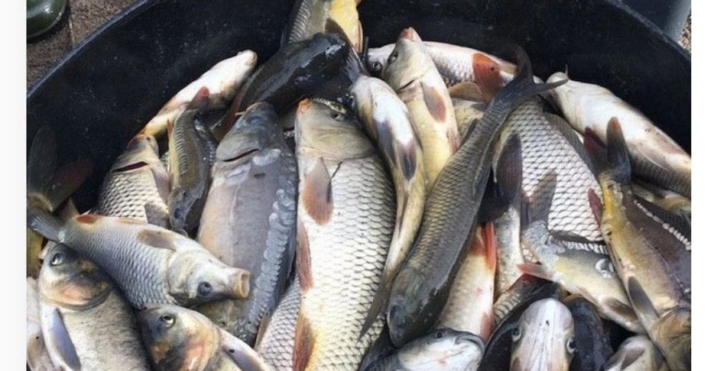 Раніше купували без роздумів: популярний продукт в Україні стрімко здорожчає