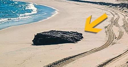 Понад сто років під піском: шторми розкрили корабельну таємницю XIX століття