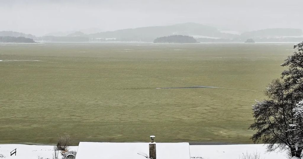 Таємничі зелені плями під льодом: чому замерзле озеро налякало біологів