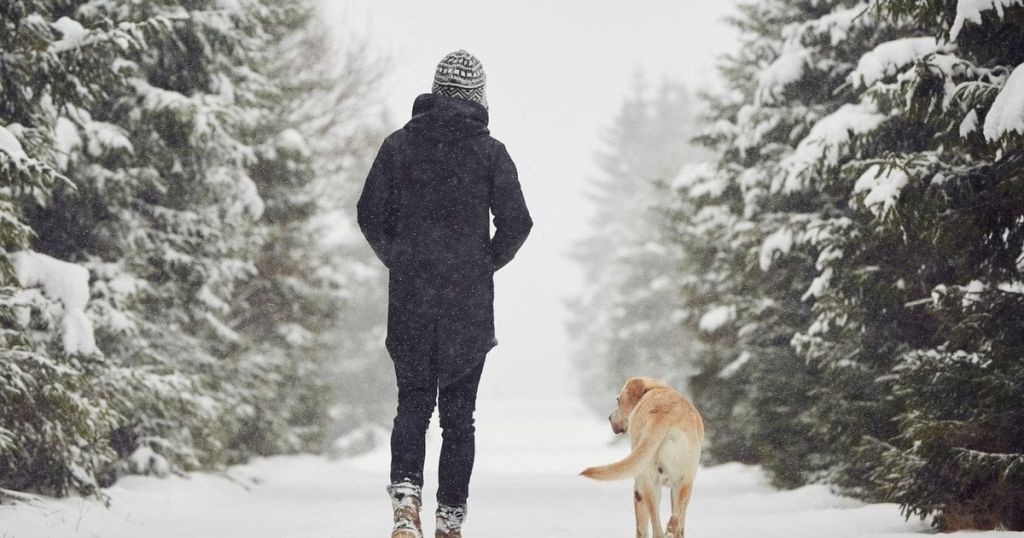 Як правильно одягатися у холод, щоб не змерзнути: поради від прикордонників