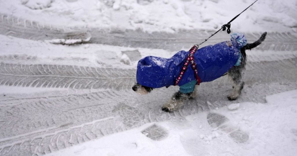 Україну накрила негода: де буде сніг та ожеледиця