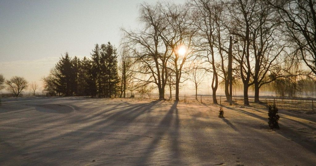 Штормовий вітер та сніг: синоптики попередили українців про негоду