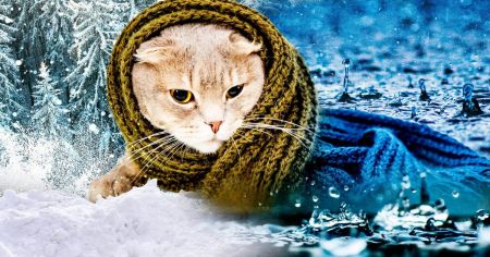 Сильні морози сунуть на Україну: синоптик назвала дату різкого похолодання