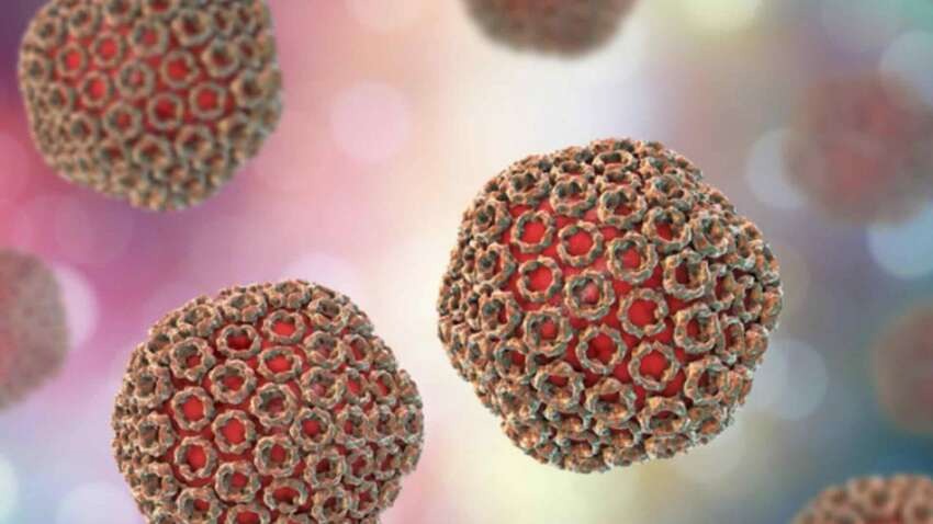 Небезпечна інфекція в Сумах: фахівці встановлюють шляхи зараження