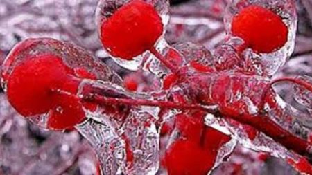 Морози вдарять сильніше, а циклон уже на підході: Україну накриє небезпечний погодний сценарій