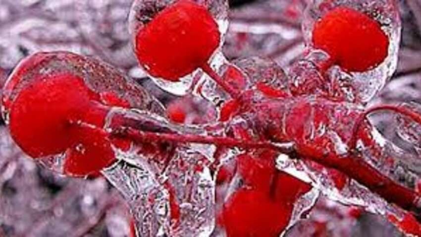 Морози вдарять сильніше, а циклон уже на підході: Україну накриє небезпечний погодний сценарій