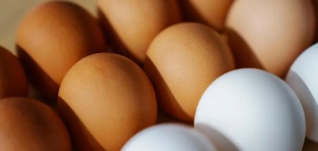В Україні різко переписали ціни на яйця: скільки тепер коштує десяток
