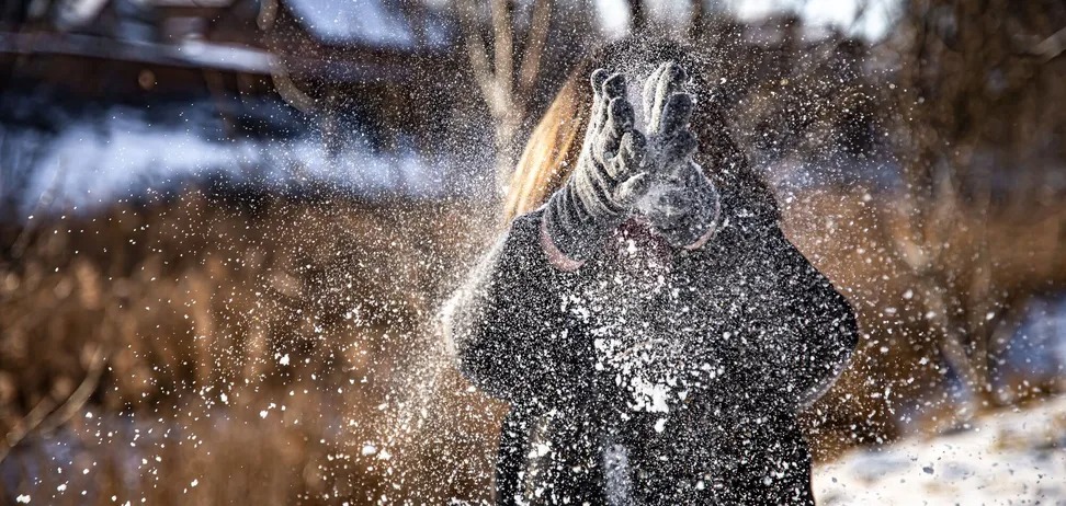 Мокрий сніг і дощ: якою буде погода в Україні 3 січня. Карта