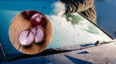 Секрет бувалих таксистів: навіщо досвідчені водії взимку натирають лобове скло цибулею – ефект вас вразить