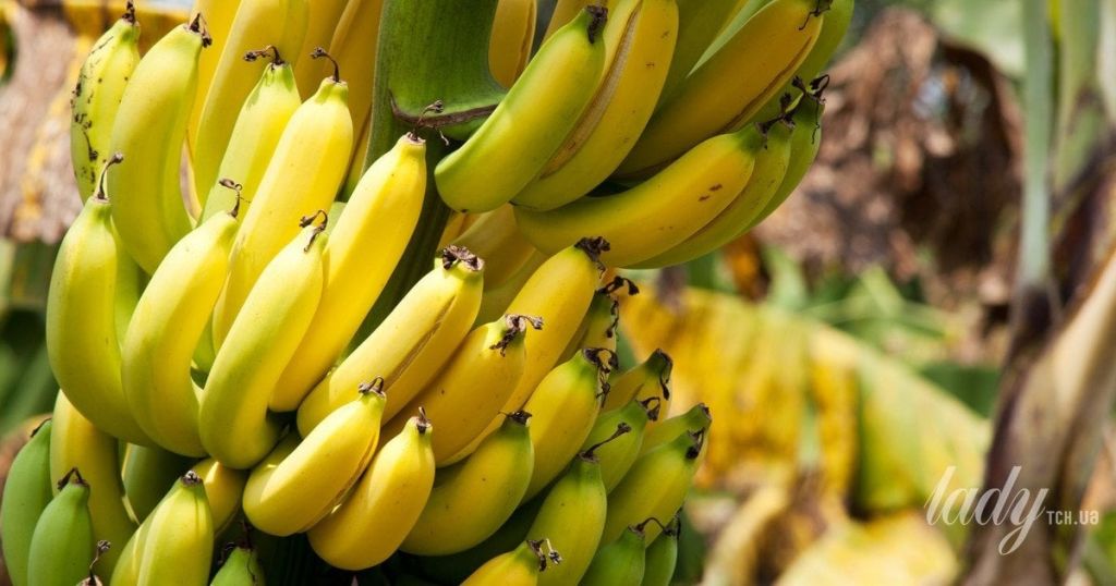 У бананах виявили небезпечні концентрації токсинів: чим це загрожує