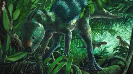 Кишенькові монстри: вчені відкопали крихітних динозаврів, які були не вищими за коліно дорослої людини