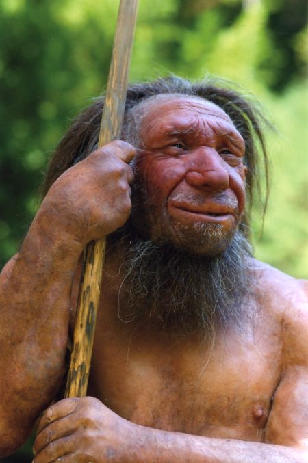Homo sapiens / Фото з відкритих джерел