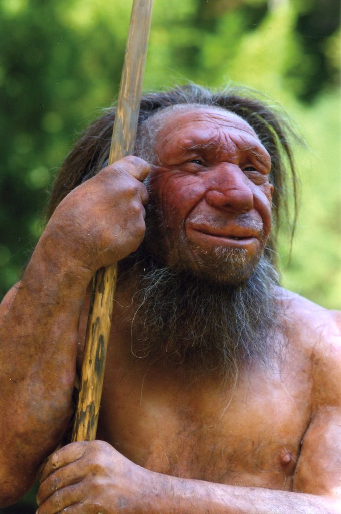 Homo sapiens / Фото з відкритих джерел