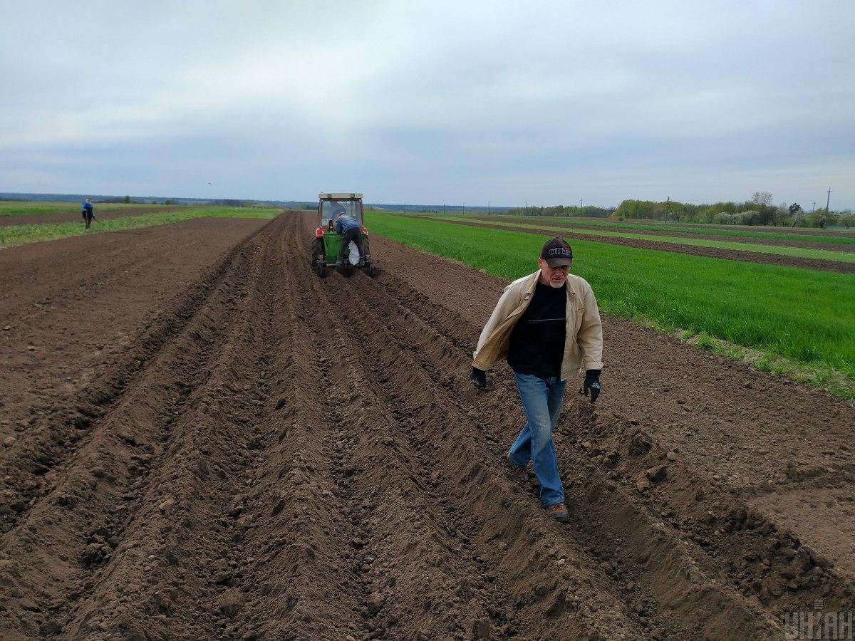 За гектар уже просять майже чверть мільйона: що сталося із ринком землі