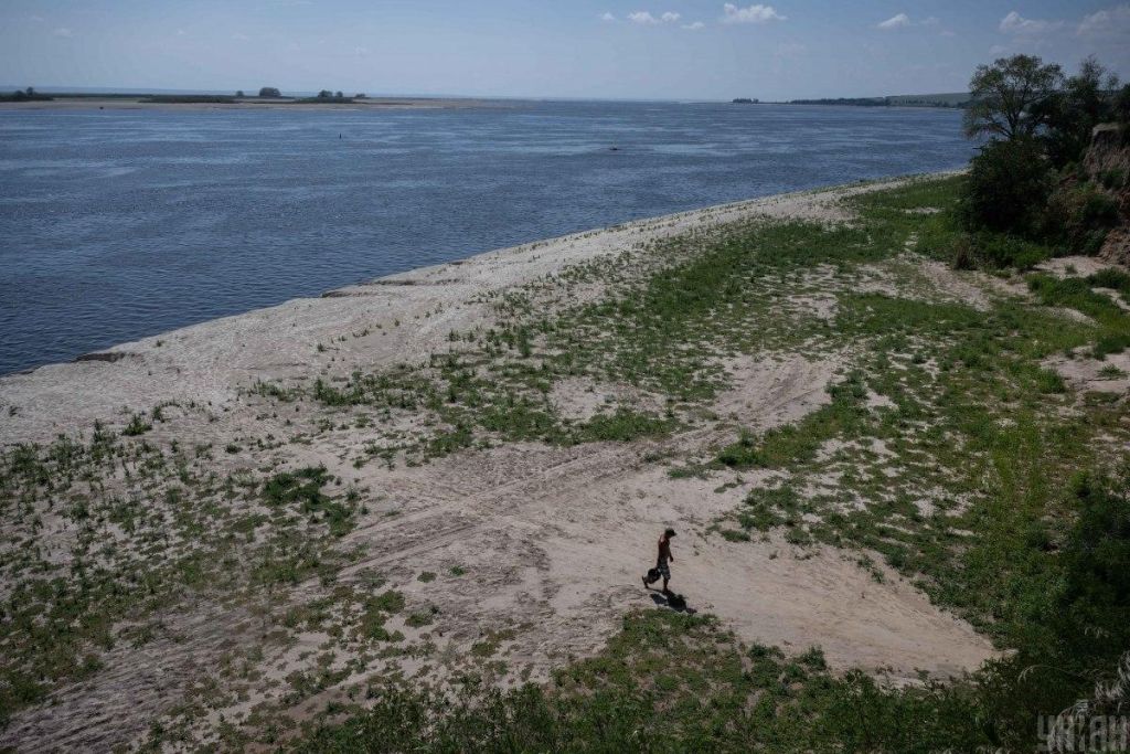 На місці знищеного Каховського водосховища з’явилися сотні нових видів рослин