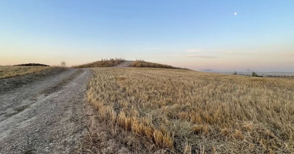 Археологія / Фото з відкритих джерел